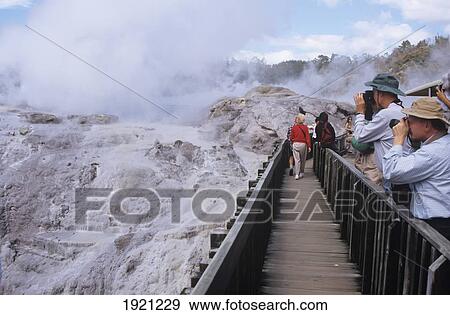 Tourists Looking At Pohutu Geyser At Whakarewarewa Thermal Reserve; Rotorua, New Zealand View Large Photo Image Stock Photo - Tourists Looking At Pohutu Geyser At Whakarewarewa Thermal Reserve; Rotorua, New Zealand. Fotosearch