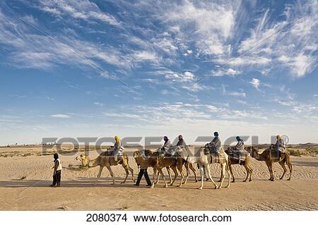Picture - Tourists On Camel Ride Through Grand Erg Oriental Desert; Zaafrane, Tunisia, North Africa. Fotosearch
