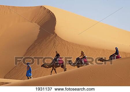 Stock Photo - Tourists On Camel Trek In The Erg Chebbi Desert; Tourists On Came Trek In The Erg Chebbi Area Of The Sahara Desert Near Merzouga, Morocco. &#13; &#10. Fotosearch