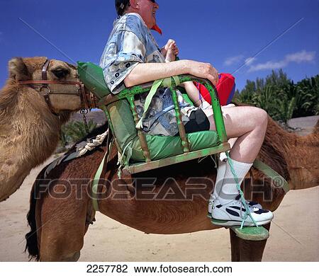 Stock Image - Tourists On Camels, Lanzarote, Canary Islands, Spain.. Fotosearch