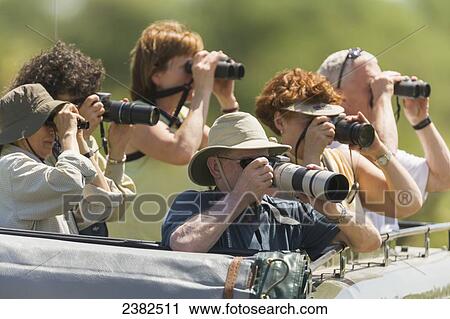 Stock Image - Tourists photograph and watch wildlife from a land cruiser in the Serengeti National Park; Tanzania. Fotosearch