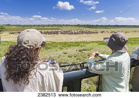 Stock Image - Tourists photograph and watch wildlife from a land cruiser in the Serengeti National Park; Tanzania. Fotosearch