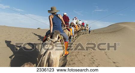 Stock Image - Tourists Ride In A Row On Camels; Jiuquan, Gansu, China. Fotosearch
