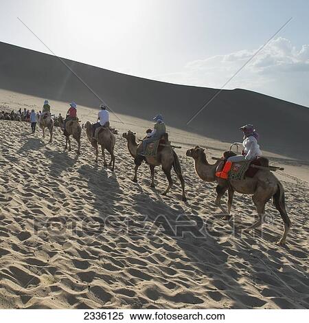 Stock Photography - Tourists Ride In A Row On Camels; Jiuquan, Gansu, China. Fotosearch