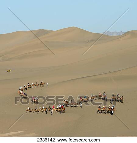 Tourists Riding Camels On Mingsha Mountain; Jiuquan, Gansu, China View Large Photo Image Stock Image - Tourists Riding Camels On Mingsha Mountain; Jiuquan, Gansu, China. Fotosearch