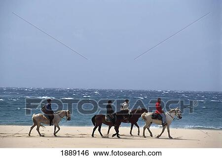Stock Photograph - Tourists Riding Horses On Beach. Fotosearch