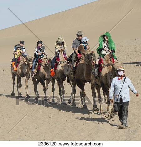 Tourists Riding On Camels At Singing Sand Mountain; Jiuquan, Gansu, China View Large Photo Image Stock Image - Tourists Riding On Camels At Singing Sand Mountain; Jiuquan, Gansu, China. Fotosearch