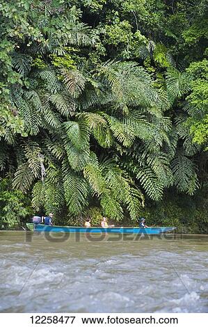 Tourists river boating at Ulu Temburong National Park; Brunei View Large Photo Image Stock Photo - Tourists river boating at Ulu Temburong National Park; Brunei. Fotosearch