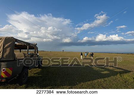 Picture - Tourists setting off from 4x4 on walking safari, Ol Pejeta Conservancy; Kenya. Fotosearch