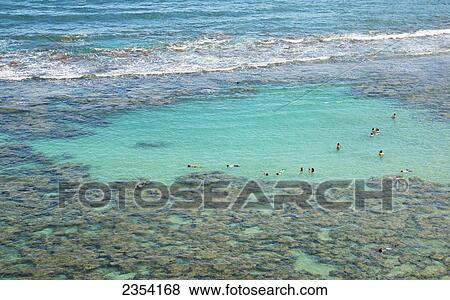 Tourists snorkeling at Hanauma Bay; Oahu, Hawaii, United States of America View Large Photo Image Stock Photo - Tourists snorkeling at Hanauma Bay; Oahu, Hawaii, United States of America. Fotosearch