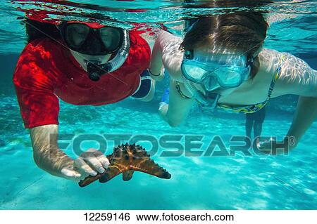 Tourists snorkelling off Atauro Island; Atauro Island, Timor-Leste View Large Photo Image Stock Photograph - Tourists snorkelling off Atauro Island; Atauro Island, Timor-Leste. Fotosearch