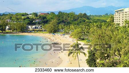 Stock Image - Tourists swimming on the beach; Kauai, Hawaii, United States of America. Fotosearch
