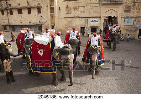 Tourists Take An Elephant Ride To Get To Amber Fort, Rajasthan, India View Large Photo Image Stock Photograph - Tourists Take An Elephant Ride To Get To Amber Fort, Rajasthan, India. Fotosearch