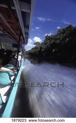 Tourists Traveling By Speed Boat In Tortuguero National Park View Large Photo Image Stock Image - Tourists Traveling By Speed Boat In Tortuguero National Park. Fotosearch