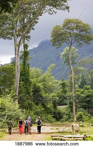 Tourists Walking Beneath Mountains On Bolaven Plateau View Large Photo Image Stock Photograph - Tourists Walking Beneath Mountains On Bolaven Plateau. Fotosearch