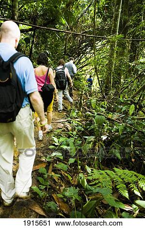 Stock Image - Tourists Walking Through Jungle. Fotosearch