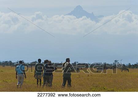 Tourists with guide on walking safari with zebra and Mt Kenya behind, Ol Pejeta Conservancy; Kenya View Large Photo Image Stock Image - Tourists with guide on walking safari with zebra and Mt Kenya behind, Ol Pejeta Conservancy; Kenya. Fotosearch