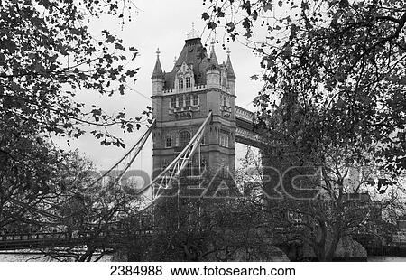 Stock Photo - Tower bridge over the river Thames with trees; London, England. Fotosearch