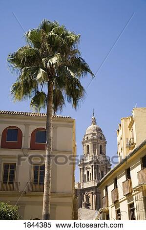 Tower Of The Cathedral; Malaga, Costa Del Sol, Malaga Province, Spain View Large Photo Image Stock Photography - Tower Of The Cathedral; Malaga, Costa Del Sol, Malaga Province, Spain. Fotosearch
