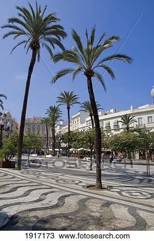Stock Image - Town Square With Palm Trees. Fotosearch