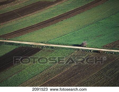 Stock Image - Track Running Through Fields Beside Santo Stefano Di Sessanno, Abruzzo, Italy.. Fotosearch