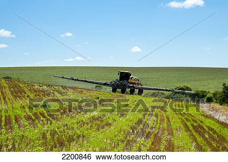Stock Photograph - Tractor Fumigating A Soya Plantation In Santa Barbara Do Sul, Rio Grande Do Sul, Brazil. Fotosearch
