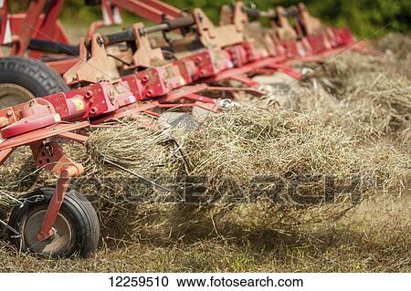 Tractor tedding hay; Sudlersville, Maryland, United States of America View Large Photo Image Stock Image - Tractor tedding hay; Sudlersville, Maryland, United States of America. Fotosearch