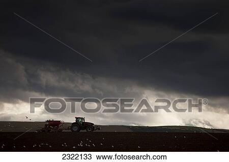 Stock Image - Tractor working on field under storm cloud; Northumberland, England, UK. Fotosearch