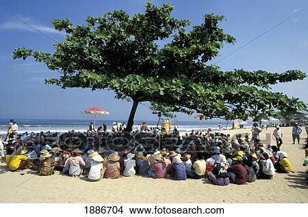 Traders Hold Meeting In The Shade In A Tree On Beach View Large Photo Image Picture - Traders Hold Meeting In The Shade In A Tree On Beach. Fotosearch
