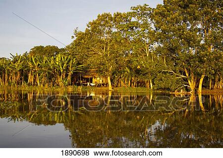Stock Photo - Traditional Amazon Village; Peru. Fotosearch