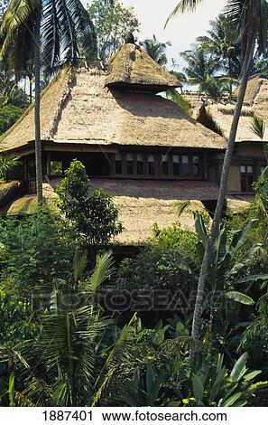 Traditional Balinean House With Palm Trees In Foreground View Large Photo Image Stock Image - Traditional Balinean House With Palm Trees In Foreground. Fotosearch