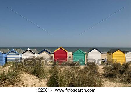 Traditional colourful beach huts in the sand dunes; Southwold, Suffolk, England View Large Photo Image Stock Photo - Traditional colourful beach huts in the sand dunes; Southwold, Suffolk, England. Fotosearch