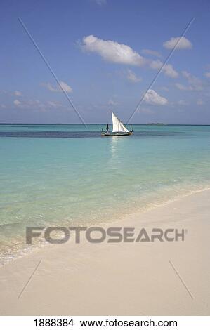Picture - Traditional Dhoni Sail Boat.. Fotosearch