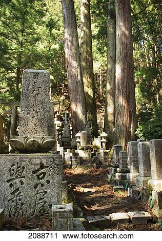 Traditional Japanese Cemetery In The Woods; Koyasan Wakayama Japan View Large Photo Image Stock Image - Traditional Japanese Cemetery In The Woods; Koyasan Wakayama Japan. Fotosearch