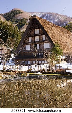 Traditional Japanese Village House With Thatched Roof With Rice Field In Front; Shirakawa, Gifu, Japan View Large Photo Image Stock Image - Traditional Japanese Village House With Thatched Roof With Rice Field In Front; Shirakawa, Gifu, Japan. Fotosearch