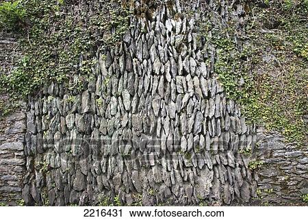 Stock Image - Traditional Stone Wall On The South West Coast Path Near Lynmouth, Exmoor, United Kingdom. Fotosearch