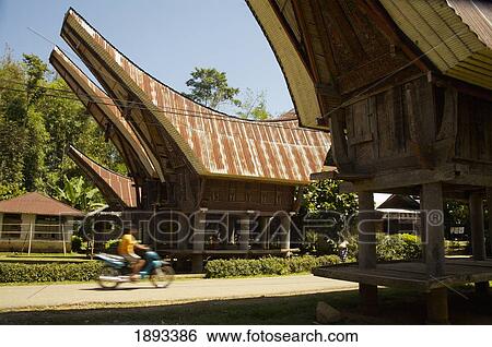 Stock Photograph - Traditional Tongkonan Houses And Man Driving Motorcycle. Fotosearch