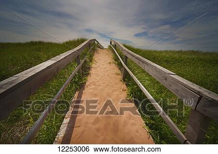 Trail on a beach: Prince Edward Island, Canada View Large Photo Image Stock Photograph - Trail on a beach: Prince Edward Island, Canada. Fotosearch