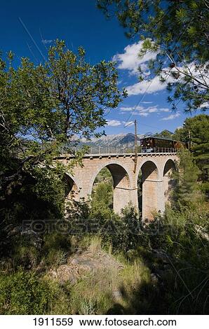 Stock Photo - Train Going Over Viaduct Above Olive Grove, Majorca, Balearic Islands, Spain. Fotosearch