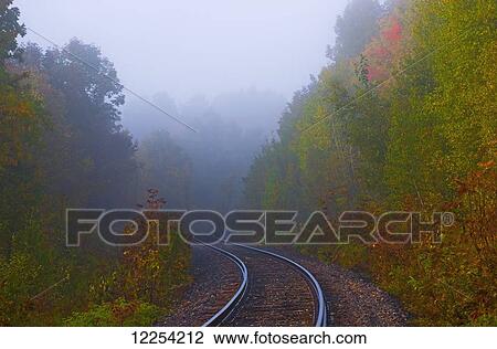 Train tracks through the foggy forest in autumn; Foster, Quebec, Canada View Large Photo Image Stock Image - Train tracks through the foggy forest in autumn; Foster, Quebec, Canada. Fotosearch