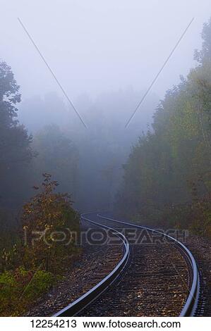Train tracks through the foggy forest in autumn; Foster, Quebec, Canada View Large Photo Image Stock Image - Train tracks through the foggy forest in autumn; Foster, Quebec, Canada. Fotosearch