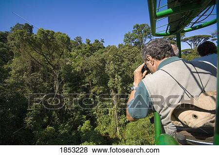 Stock Photo - Tram Over Rainforest, Costa Rica. Fotosearch