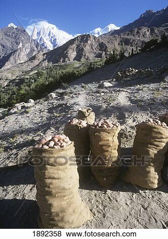 Stock Photo - Tranquil Mountain Scene. Fotosearch