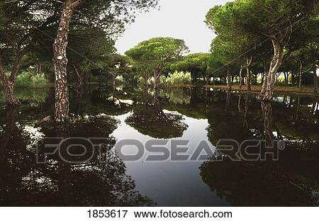 Stock Photo - Tranquil Reflections. Fotosearch