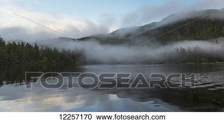 Tranquil water reflecting the coastline and clouds with fog hanging low over the water; Skeena-Queen Charlotte, British Columbia, Canada View Large Photo Image Stock Image - Tranquil water reflecting the coastline and clouds with fog hanging low over the water; Skeena-Queen Charlotte, British Columbia, Canada. Fotosearch