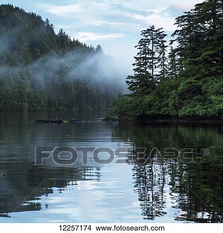 Picture - Tranquil water reflecting trees and sky; Skeena-Queen Charlotte, British Columbia, Canada. Fotosearch