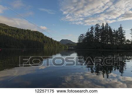 Stock Photography - Tranquil water reflecting trees and sky; Skeena-Queen Charlotte, British Columbia, Canada. Fotosearch
