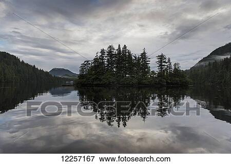 Stock Photo - Tranquil water reflects the trees along the coastline; Skeena-Queen Charlotte, British Columbia, Canada. Fotosearch