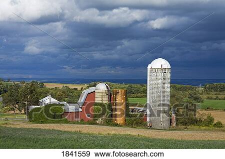 Stock Photo - Tranquile View Of Farm Near Leichester; Greater Rochester Area, New York, Usa. Fotosearch