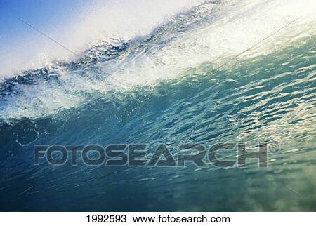 Translucent Wave At It's Peak With White Wash, Blue Sky. View Large Photo Image Stock Image - Translucent Wave At It's Peak With White Wash, Blue Sky.. Fotosearch